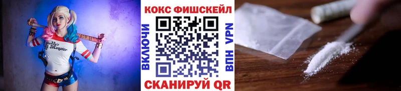 COCAIN Fish Scale  Купить  Новосокольники 