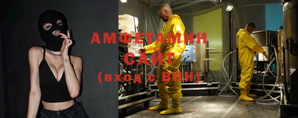 мет Ельня