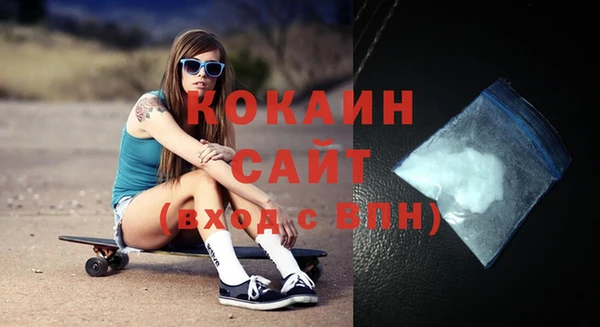 мет Ельня