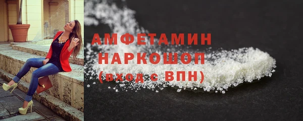 мет Ельня