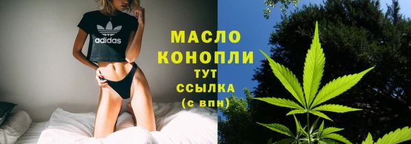 мет Ельня