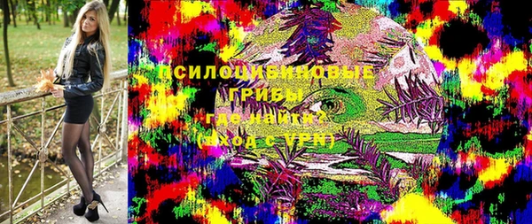 мет Ельня