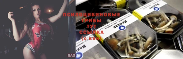 мет Ельня