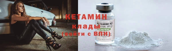 мет Ельня