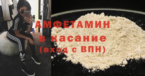 мет Ельня