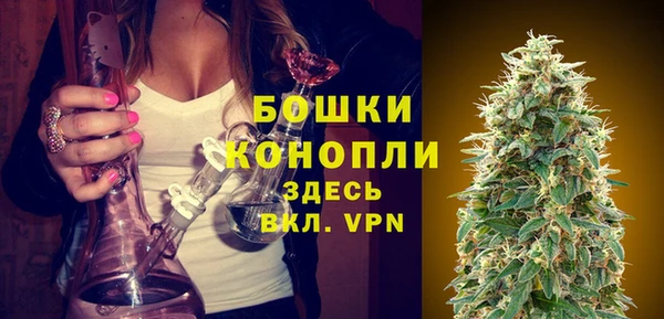мет Ельня