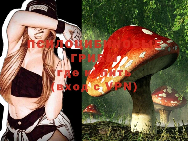 мет Ельня
